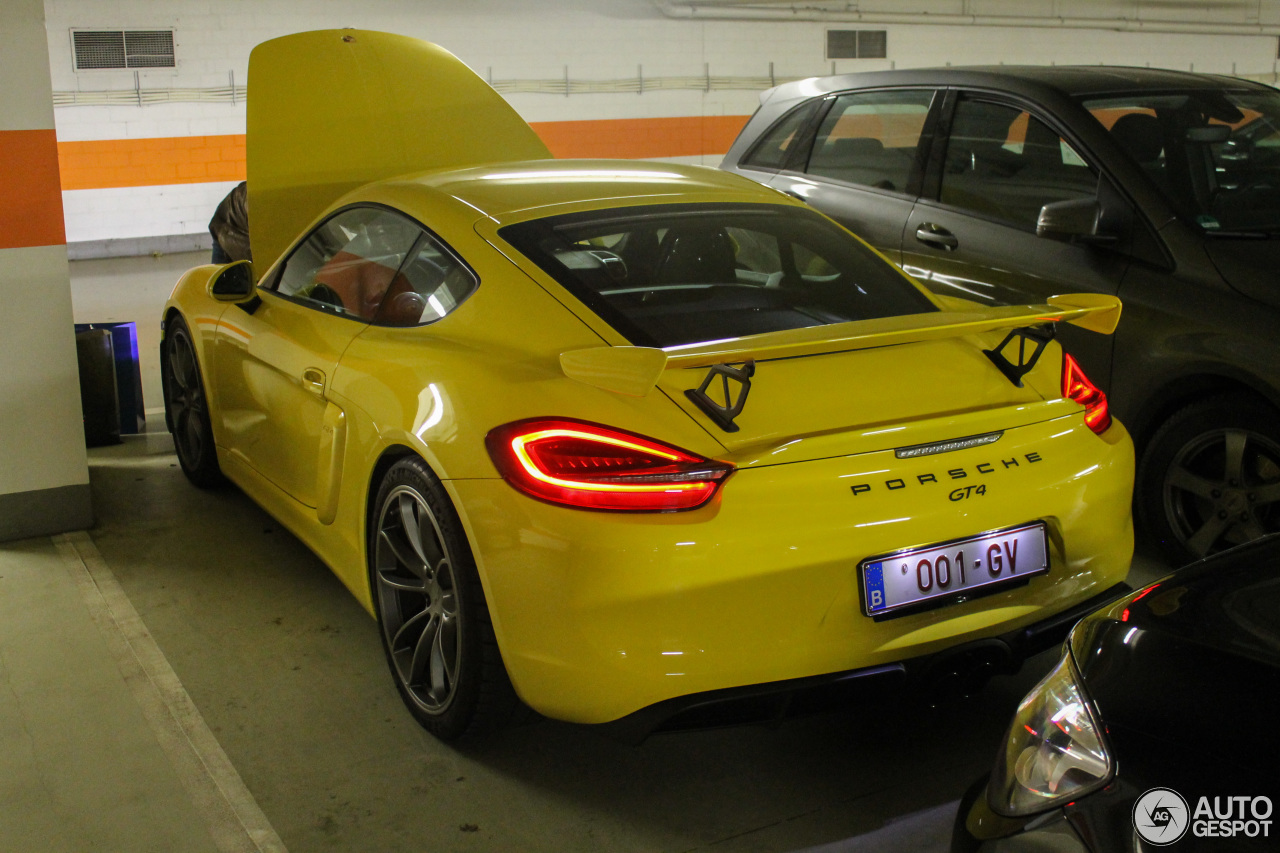 Porsche 981 Cayman GT4