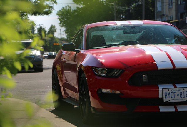 Ford Mustang Shelby GT350 2015