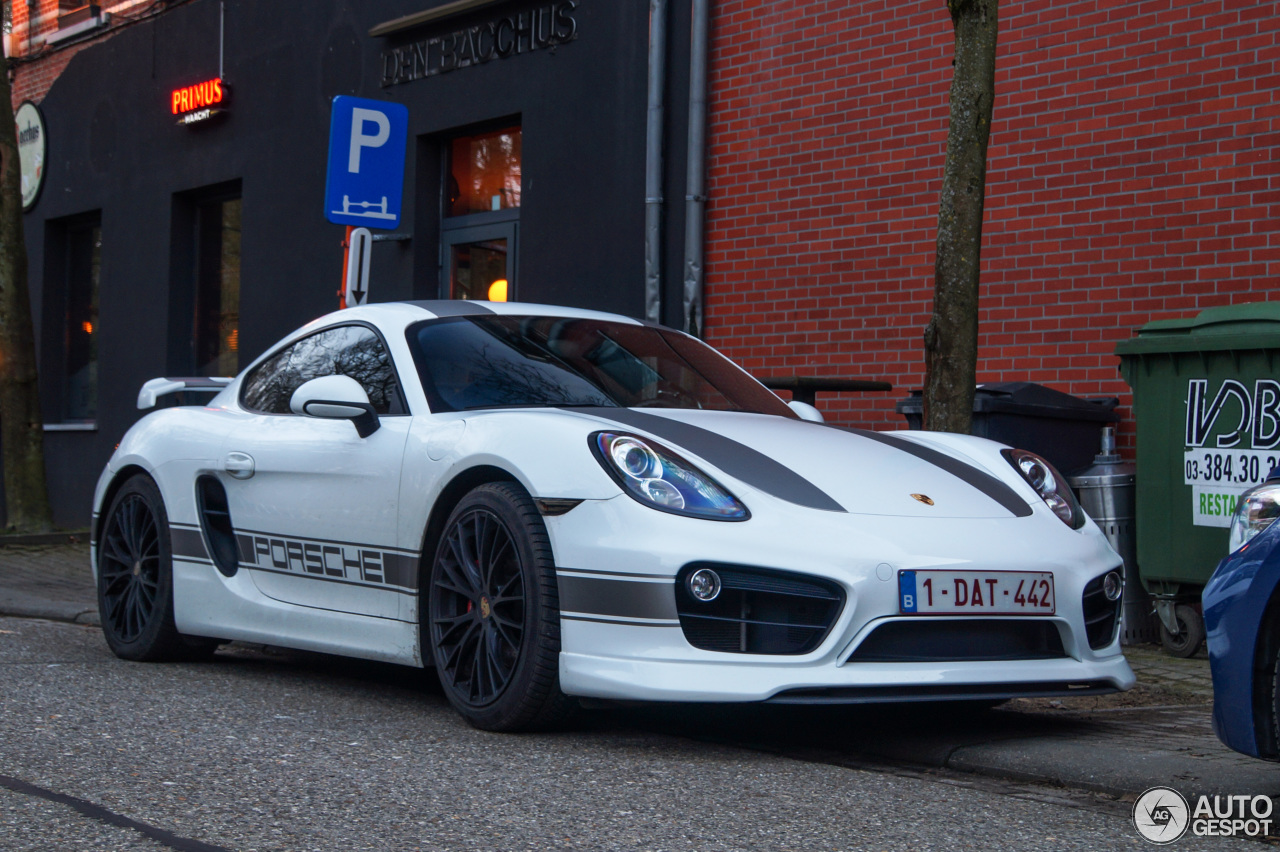 Porsche TechArt Cayman S 2013