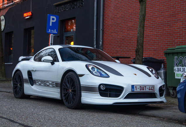 Porsche TechArt Cayman S 2013