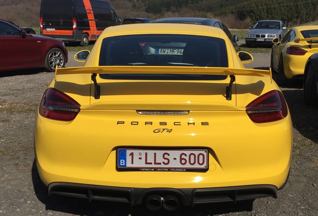 Porsche 981 Cayman GT4