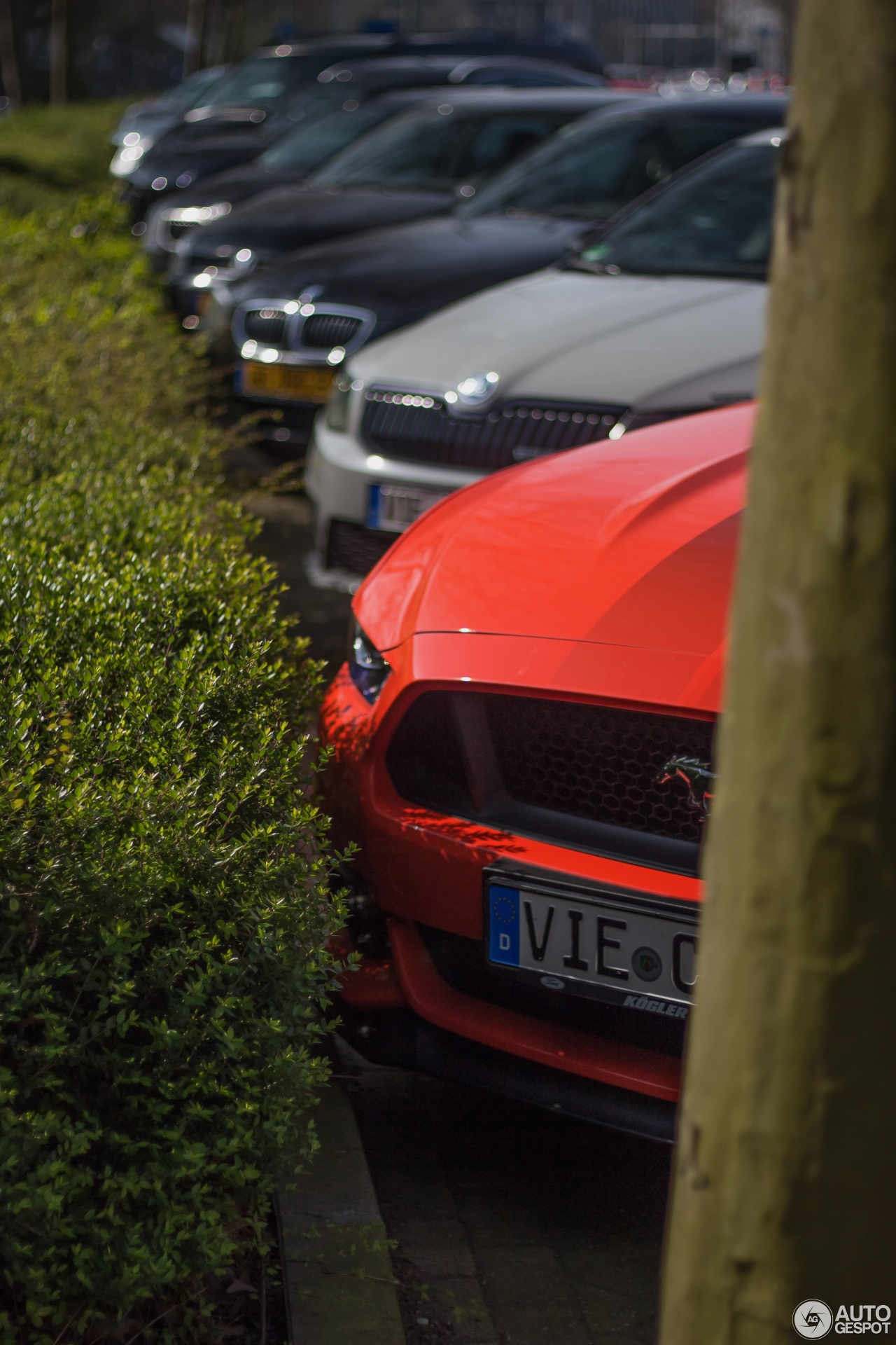 Ford Mustang GT Convertible 2015