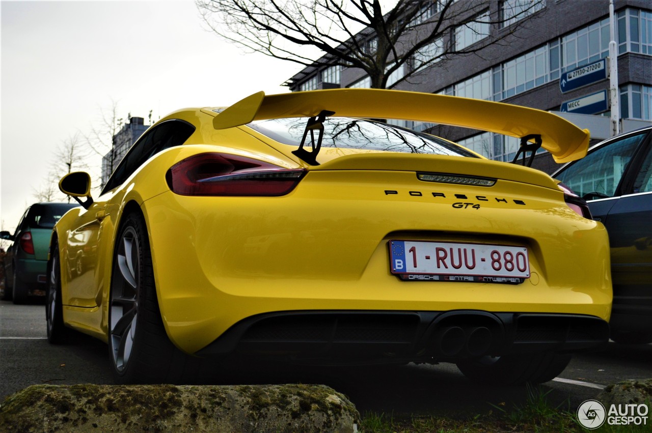 Porsche 981 Cayman GT4