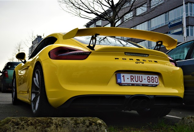 Porsche 981 Cayman GT4