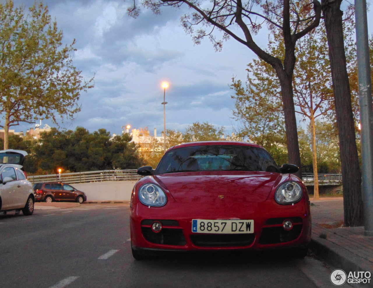 Porsche 987 Cayman S