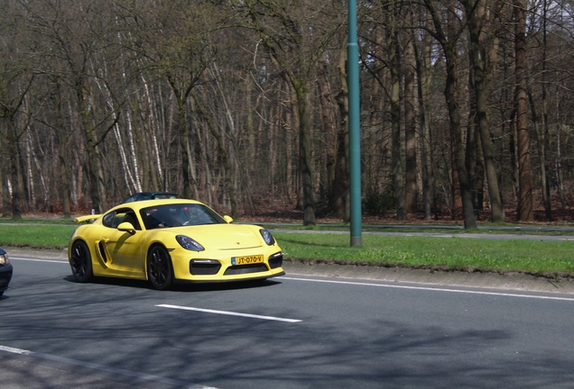 Porsche 981 Cayman GT4