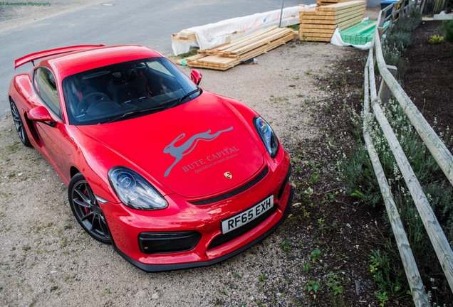 Porsche 981 Cayman GT4