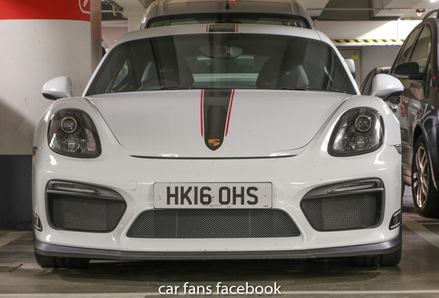 Porsche 981 Cayman GT4