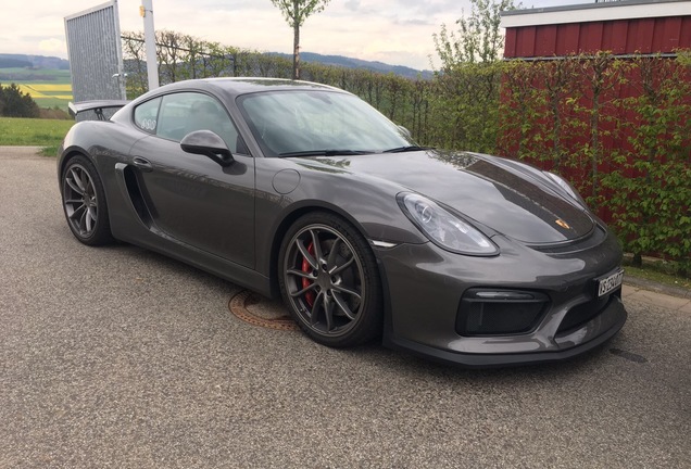 Porsche 981 Cayman GT4