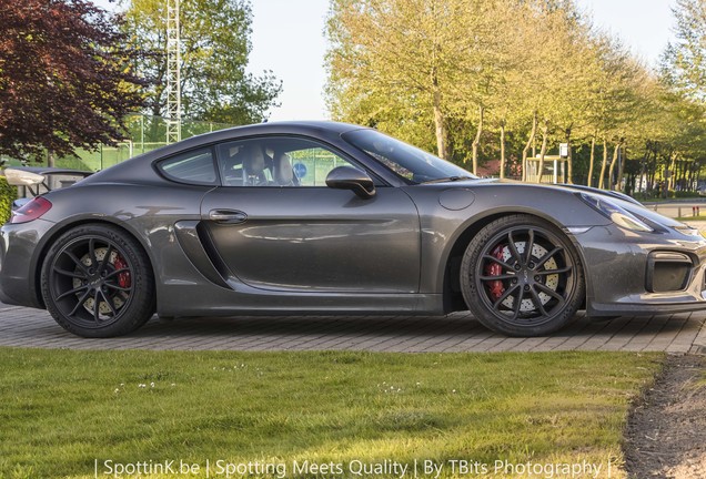 Porsche 981 Cayman GT4