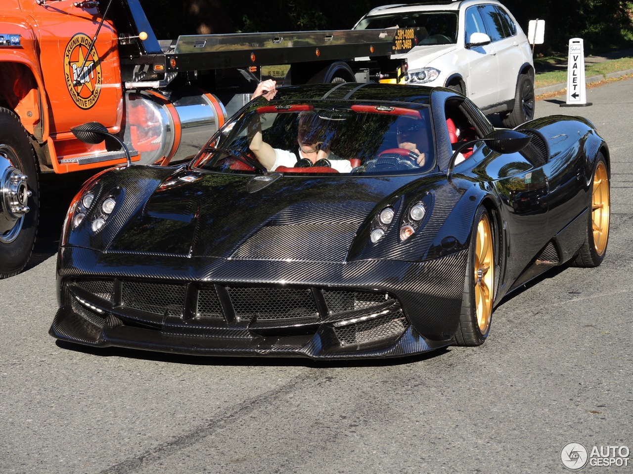 Pagani Huayra Carbon Edition