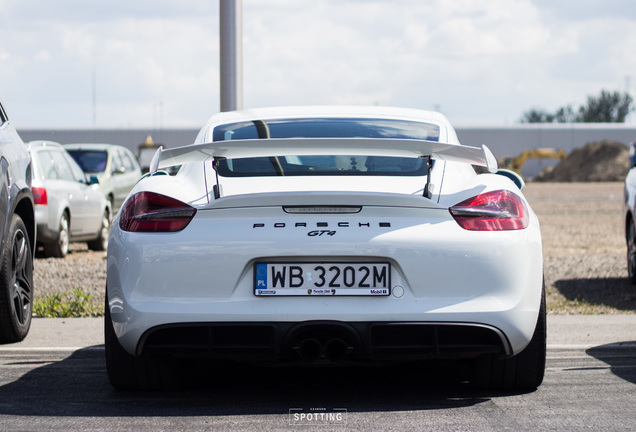 Porsche 981 Cayman GT4