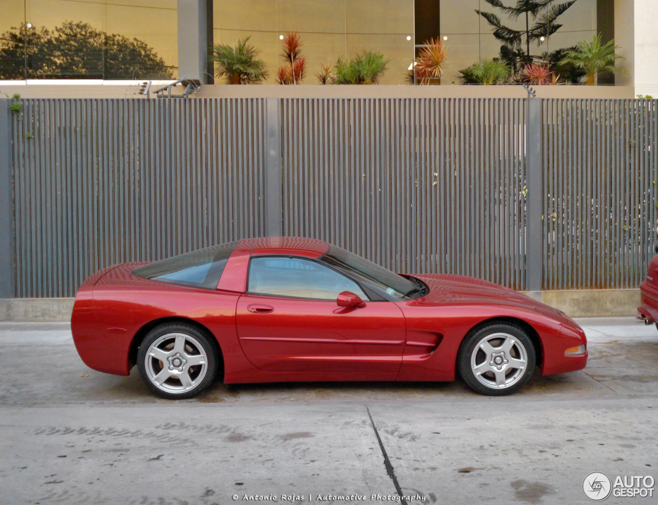 Chevrolet Corvette C5