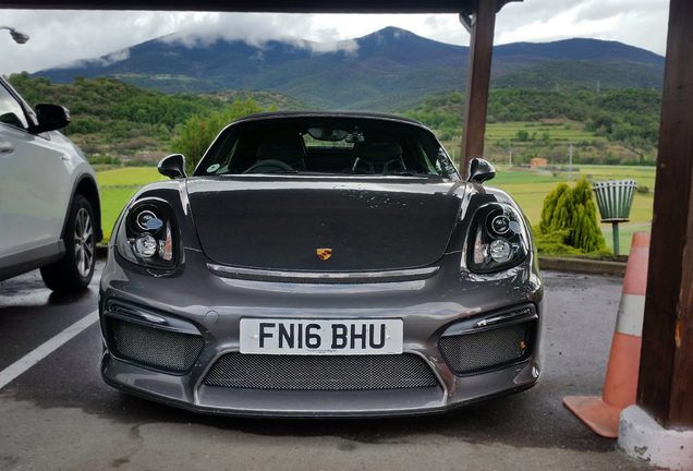 Porsche 981 Boxster Spyder