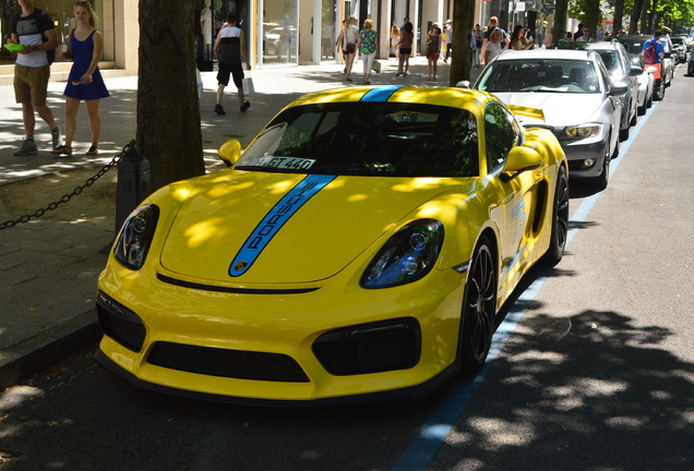 Porsche 981 Cayman GT4