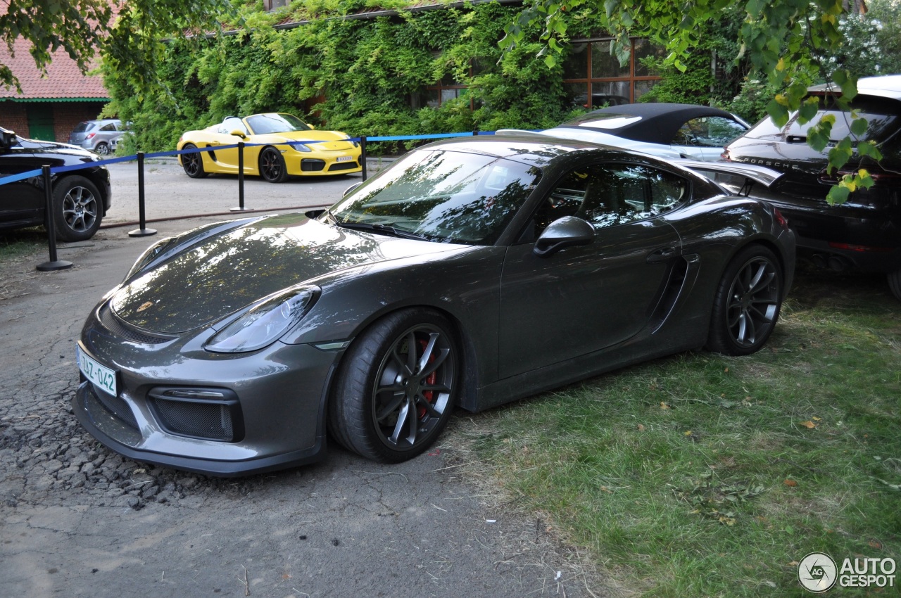 Porsche 981 Cayman GT4