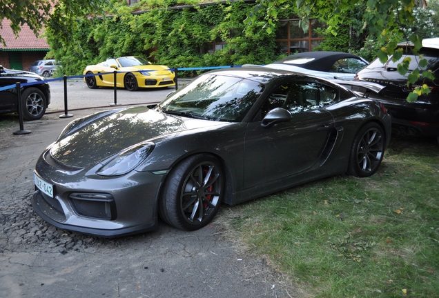 Porsche 981 Cayman GT4