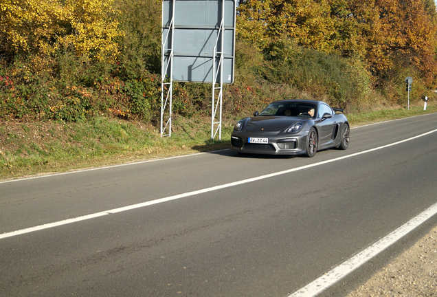 Porsche 981 Cayman GT4