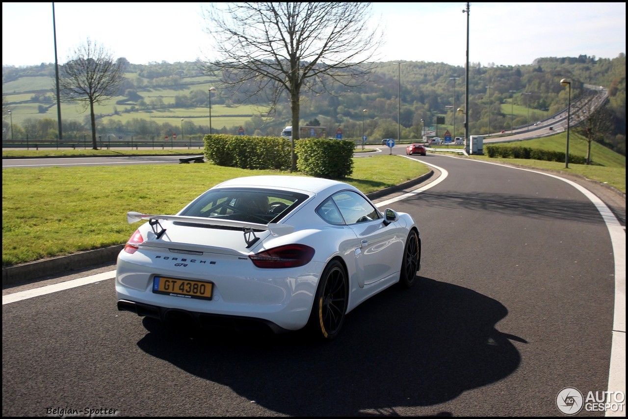 Porsche 981 Cayman GT4