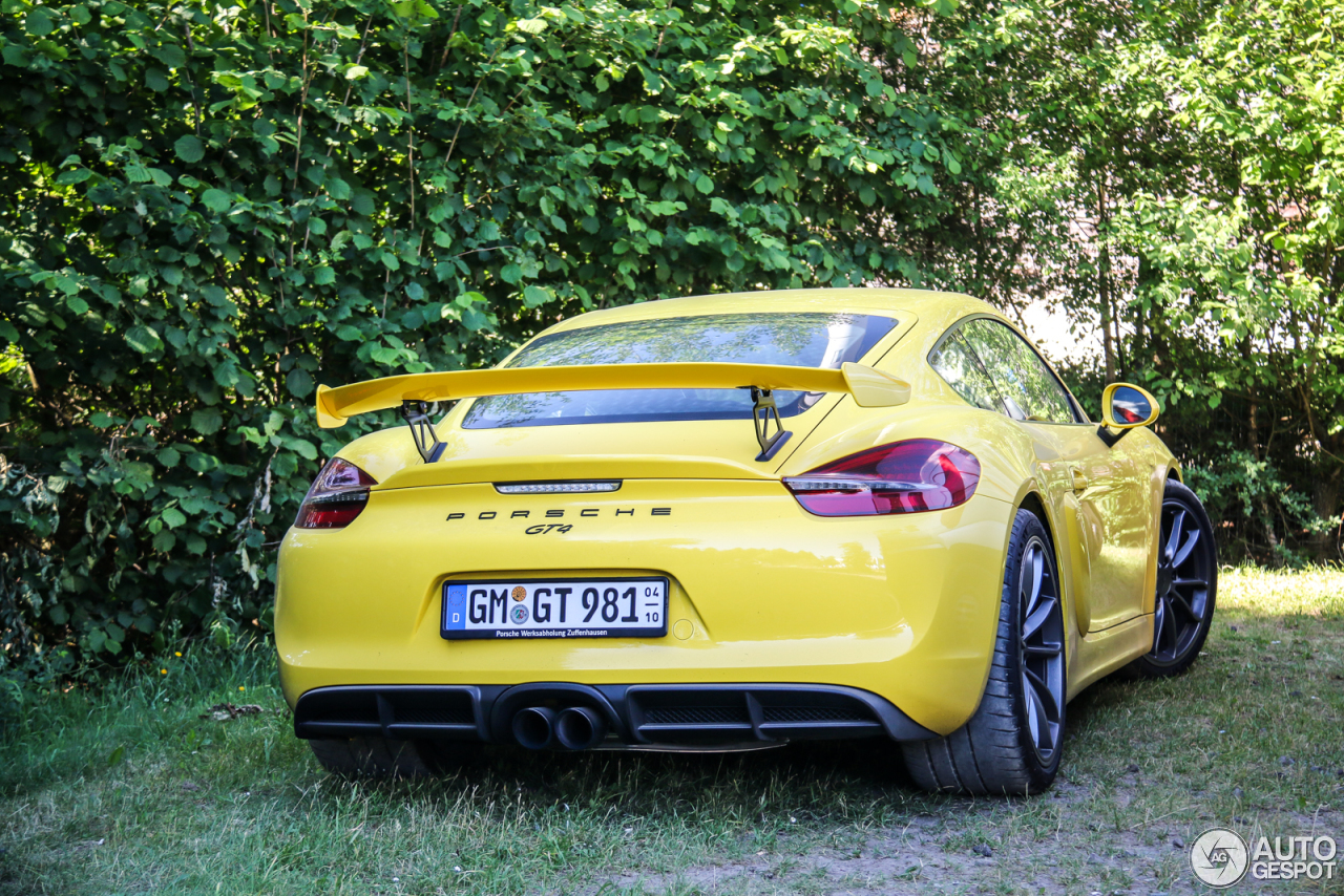 Porsche 981 Cayman GT4