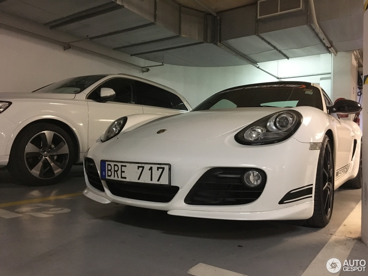 Porsche 987 Cayman R