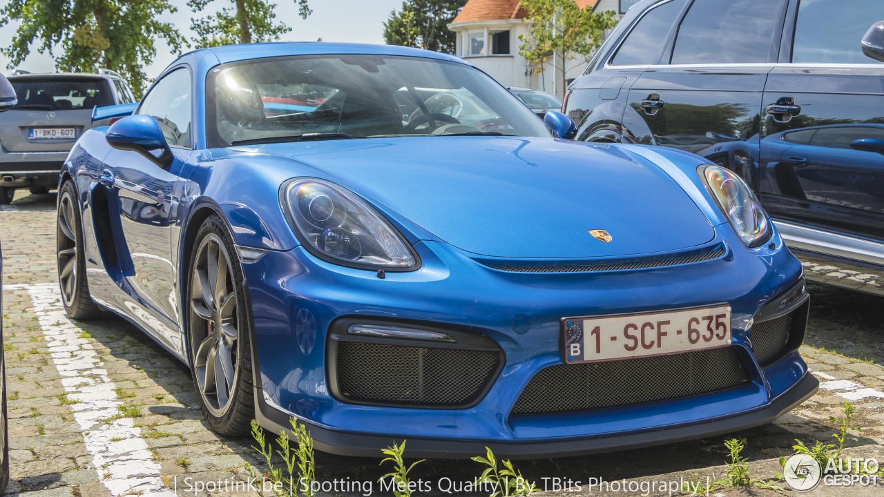 Porsche 981 Cayman GT4