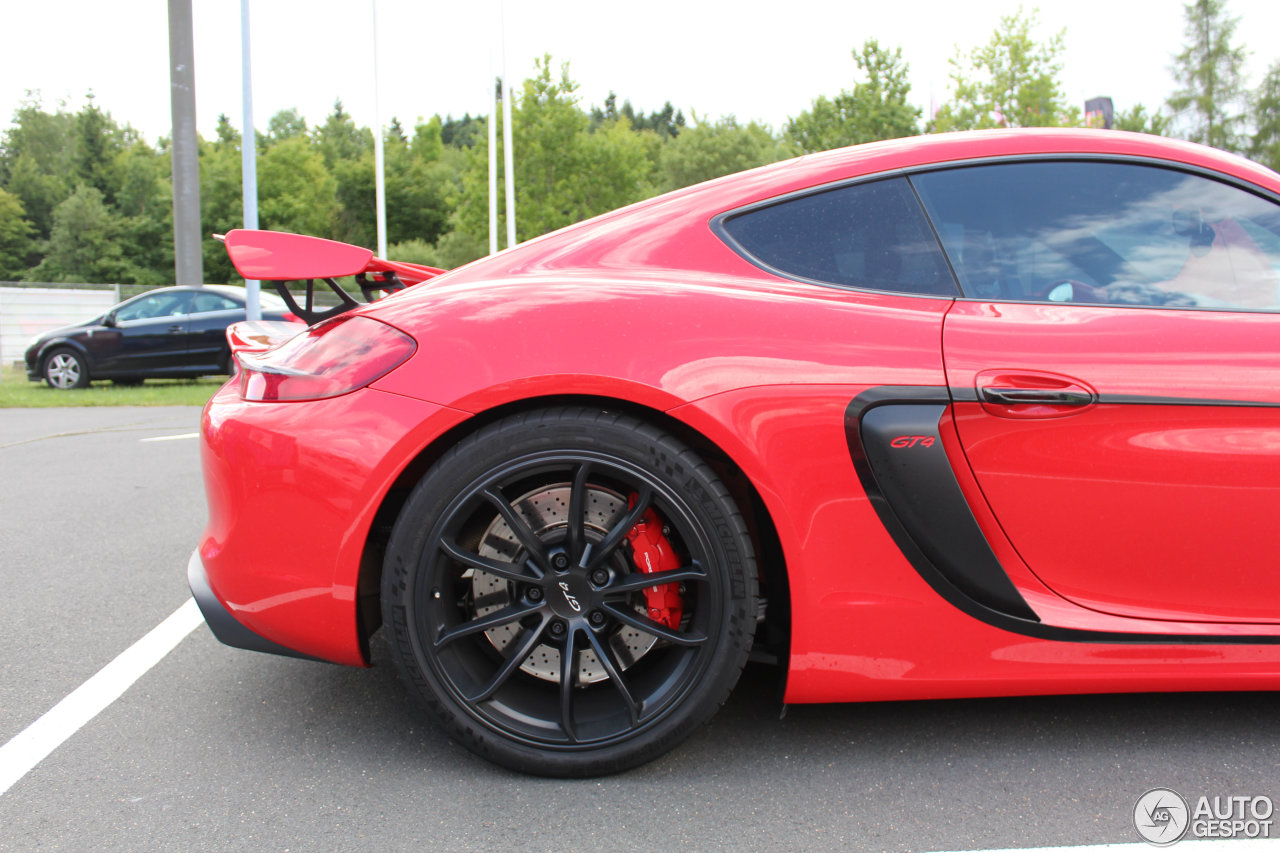 Porsche 981 Cayman GT4