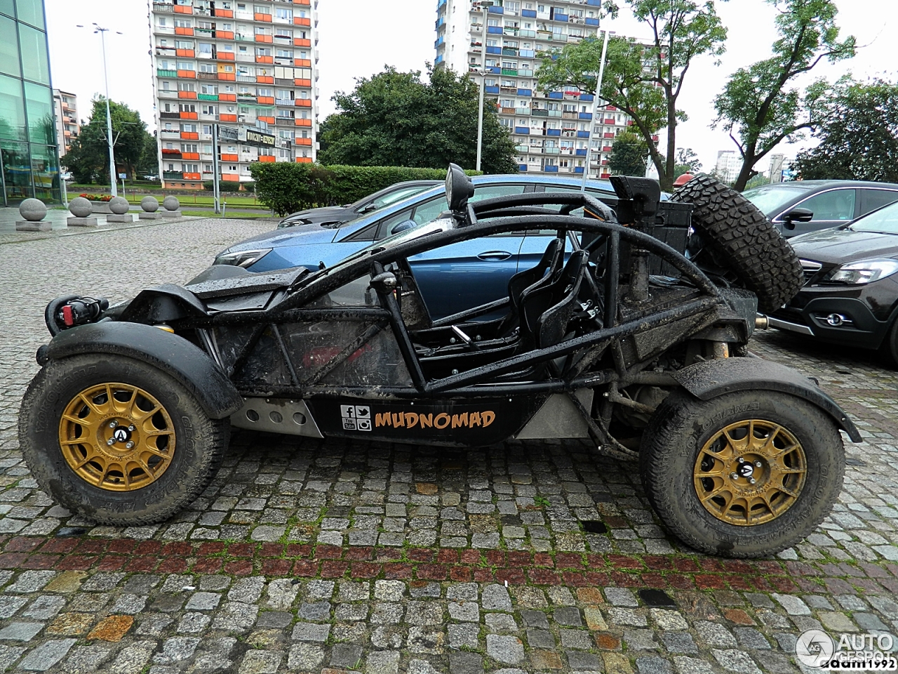 Ariel Nomad