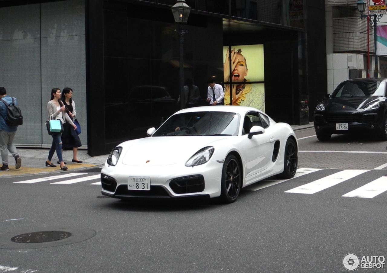 Porsche 981 Cayman GTS