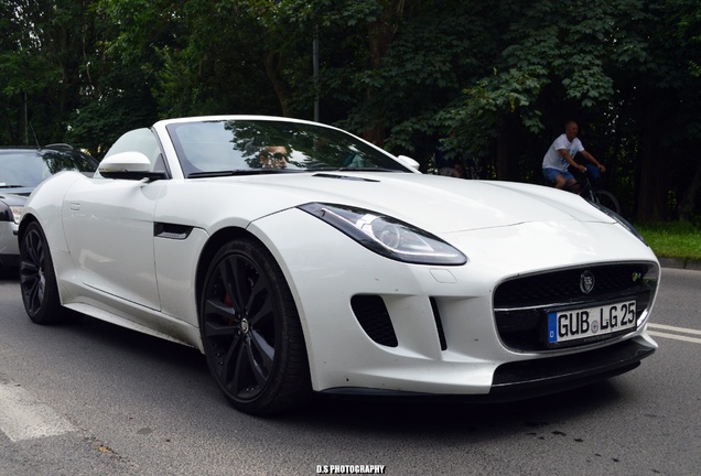 Jaguar F-TYPE R Convertible