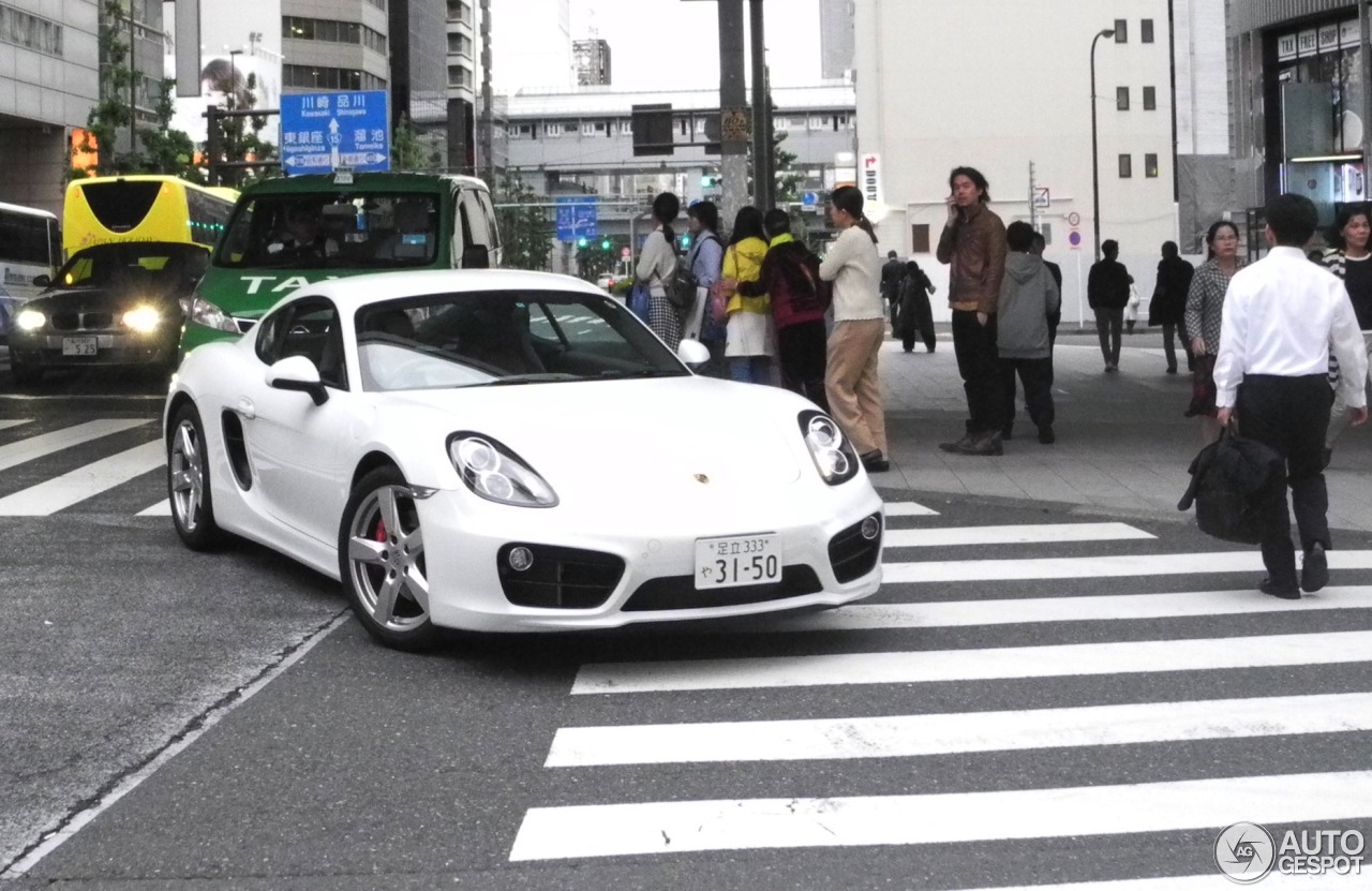 Porsche 981 Cayman S