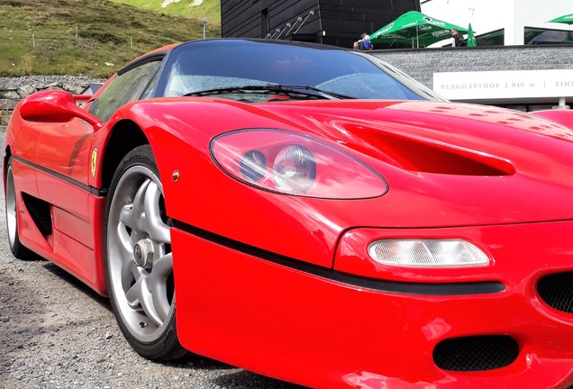 Ferrari F50