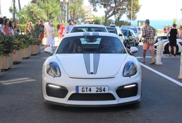 Porsche 981 Cayman GT4