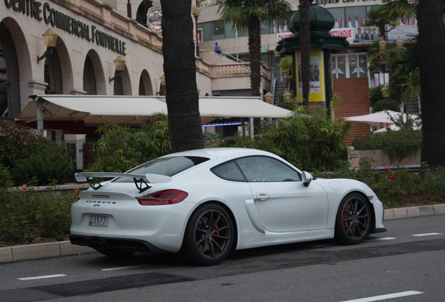 Porsche 981 Cayman GT4