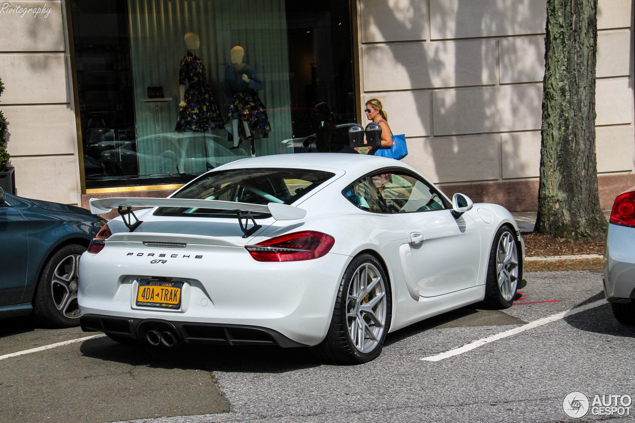 Porsche 981 Cayman GT4