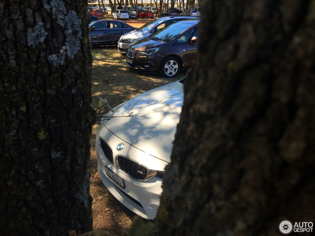 BMW M3 F80 Sedan