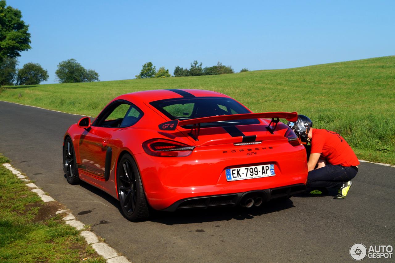 Porsche 981 Cayman GT4