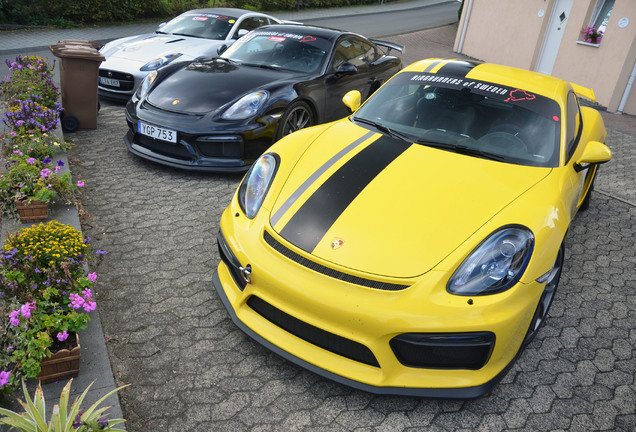 Porsche 981 Cayman GT4