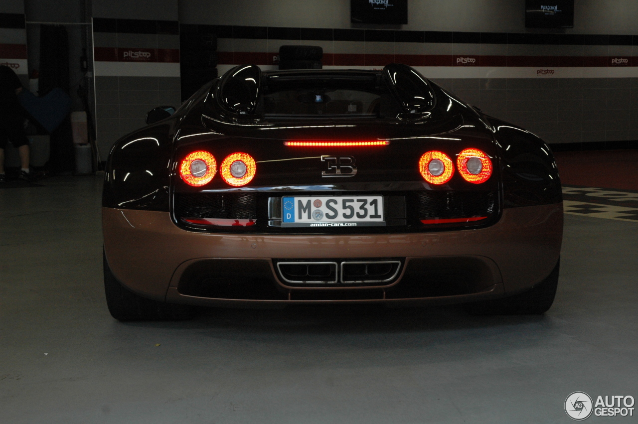 Bugatti Veyron 16.4 Grand Sport Vitesse Rembrandt Bugatti