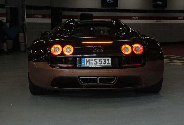 Bugatti Veyron 16.4 Grand Sport Vitesse Rembrandt Bugatti