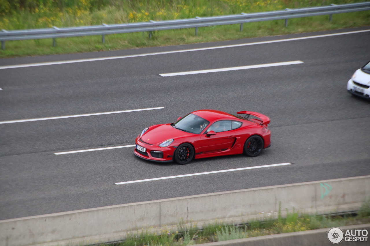 Porsche 981 Cayman GT4