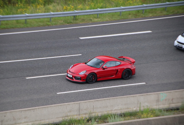 Porsche 981 Cayman GT4