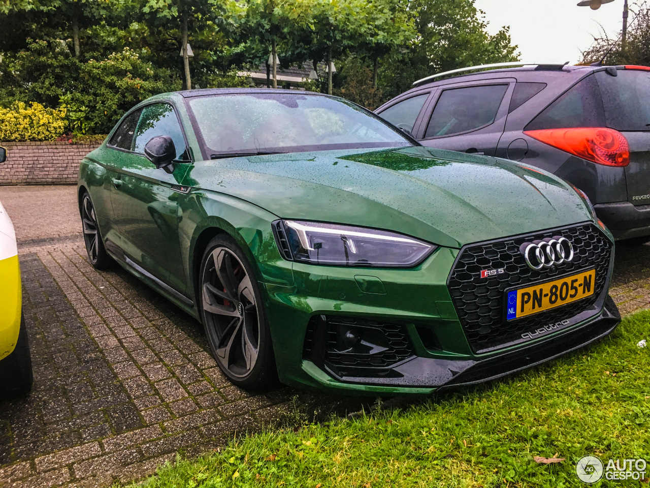 Audi RS5 B9