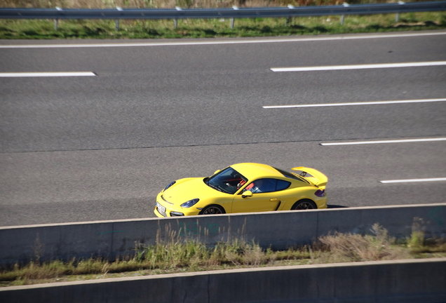 Porsche 981 Cayman GT4