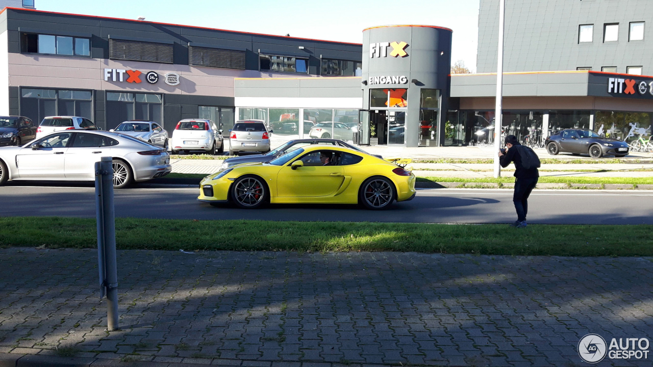 Porsche 981 Cayman GT4