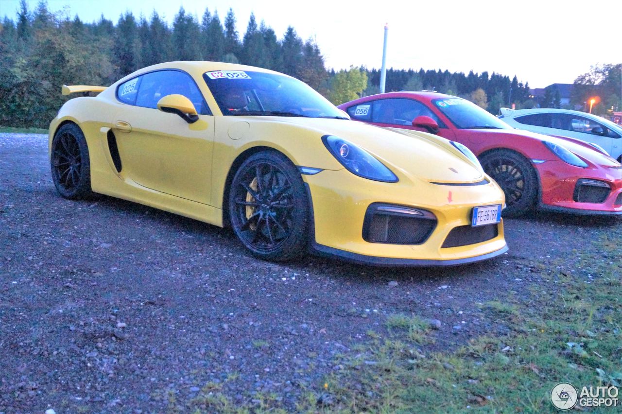 Porsche 981 Cayman GT4