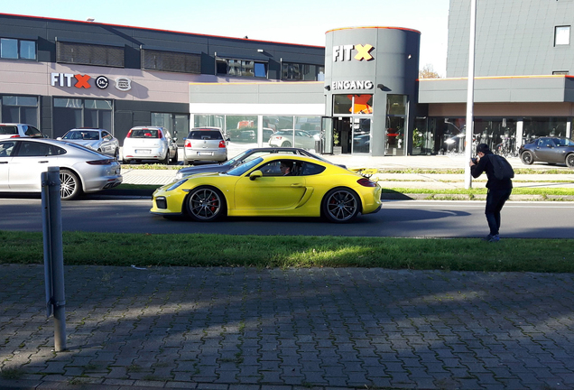 Porsche 981 Cayman GT4