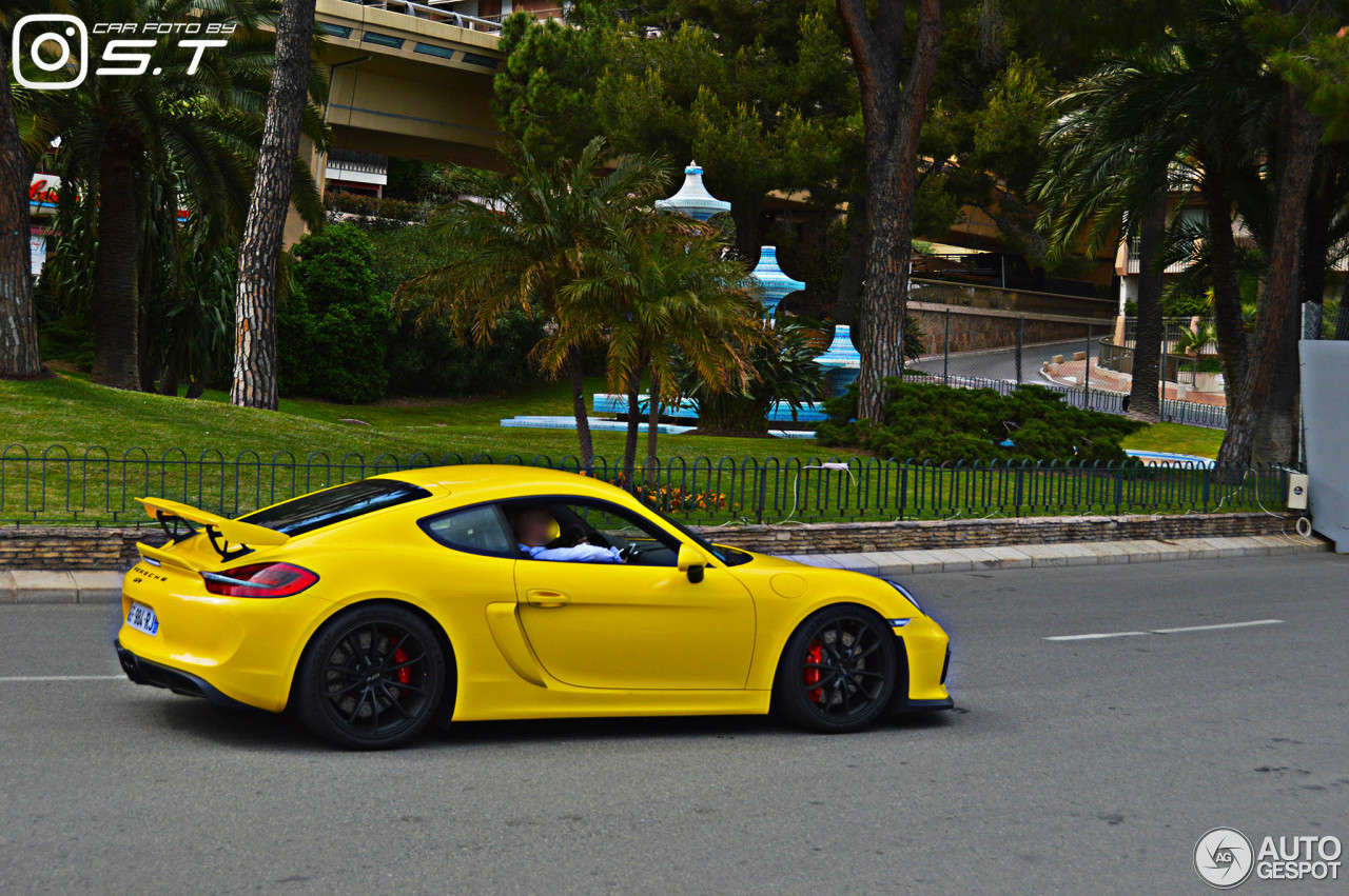 Porsche 981 Cayman GT4