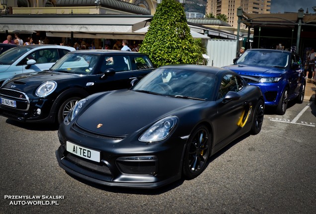 Porsche 981 Cayman GT4