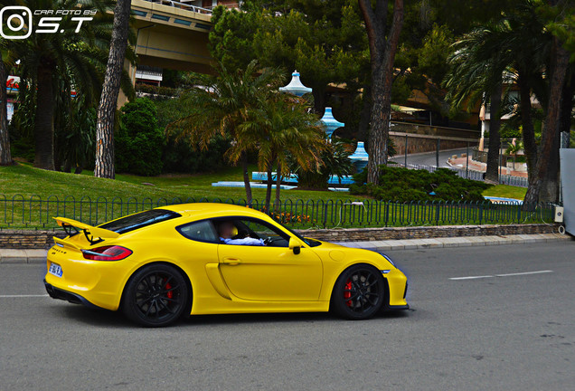 Porsche 981 Cayman GT4